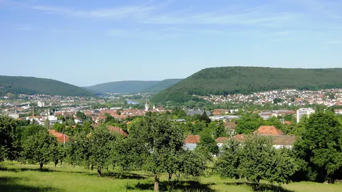 SEO in Lohr am Main